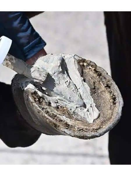 Natural'Must (2) Natural'Must