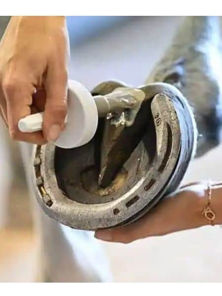 Natural'Must (3) Natural'Must