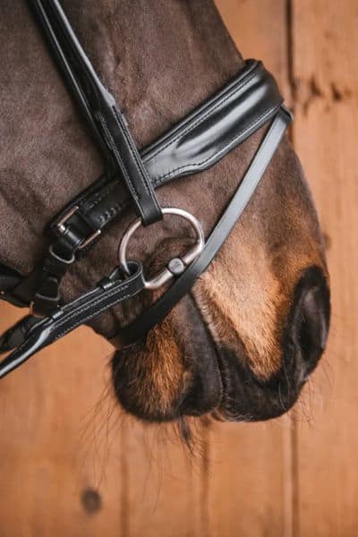 Fager Stephanie Titanium Brandoon bit (3) Fager Stephanie Titanium Brandoon bit