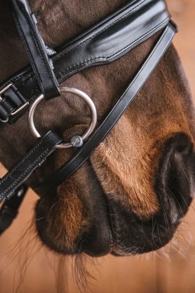 Fager Stephanie Titanium Brandoon bit (6) Fager Stephanie Titanium Brandoon bit