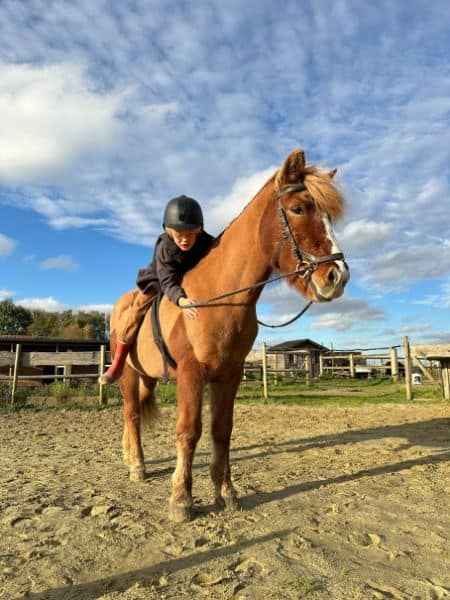 Vinur frá Klömbrum