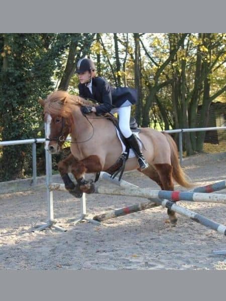 Vinur frá Klömbrum (3) Vinur frá Klömbrum