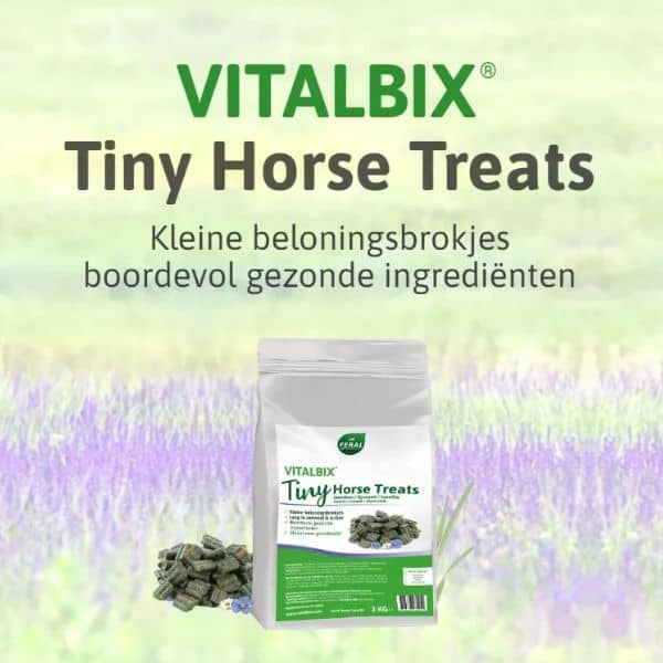 Vitalbix Tiny Treats Vitalbix Tiny Treats
