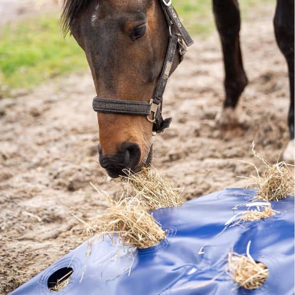 HayPlay ButtonBag XL (3) HayPlay ButtonBag XL