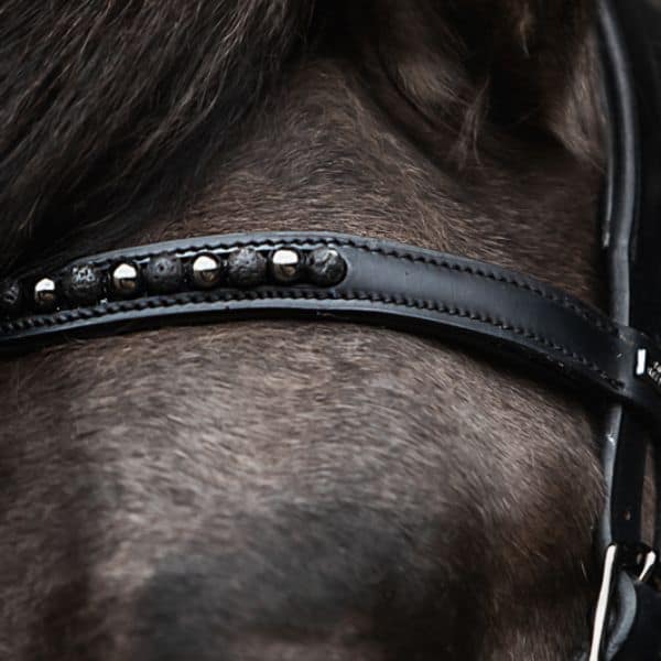 Topreiter Kjarkur kopstuk (5) Topreiter Kjarkur kopstuk