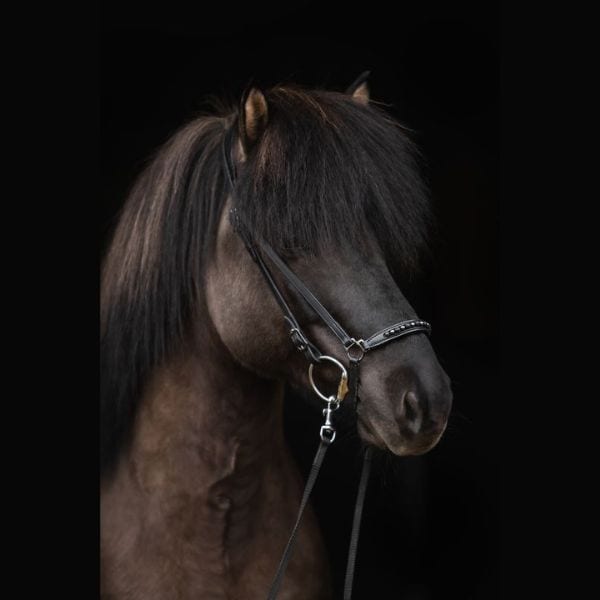 Topreiter Kjarkur neusriem (5) Topreiter Kjarkur neusriem